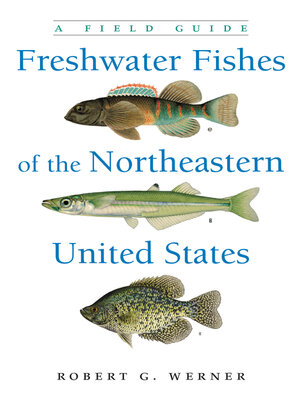 cover image of Freshwater Fishes of the Northeastern United States